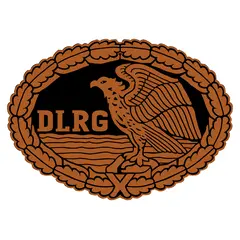 Aufnäher DRSA Bronze