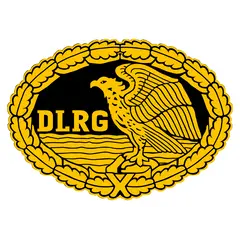 Aufnäher DRSA Gold