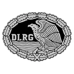 Aufnäher DRSA Silber